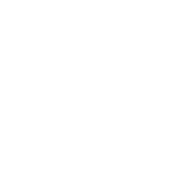 x logo